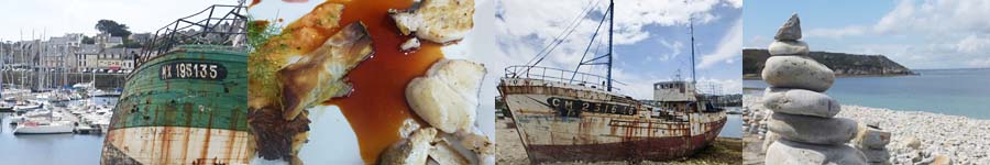 yacht- und schrotthafen / fische an sauce caramel