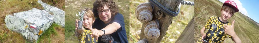 gesucht und gefunden