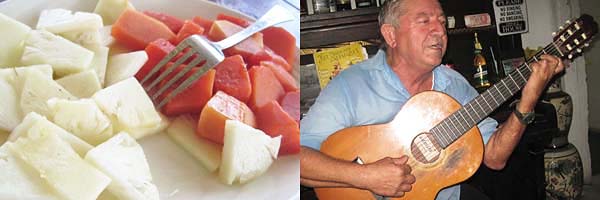 frische fr&uuml;chte