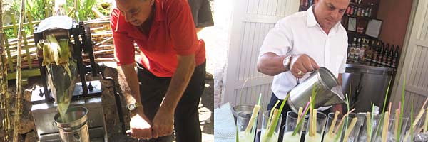 frisch gepresster zuckersaft / guarapo