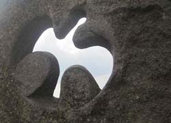 colombe de lumi&egrave;re