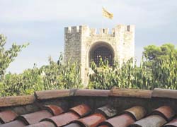 besal&uacute;