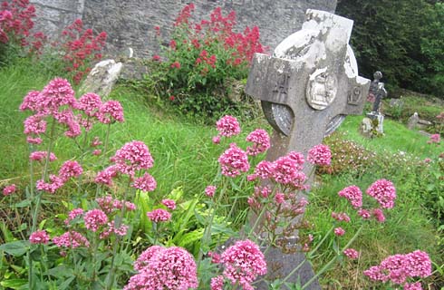 irisches steinkreuz