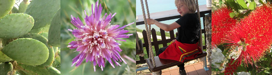 bl&uuml;ten und meer