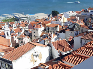 d&auml;cher der stadt