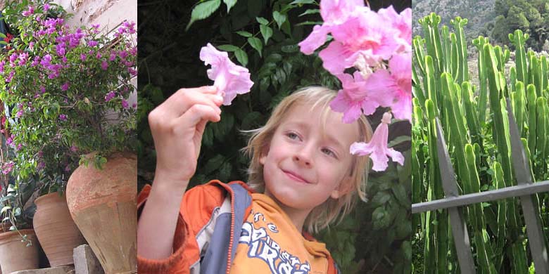 bl&uuml;hendes bergdorf