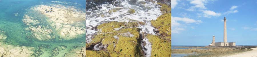 am phare de gatteville - h&ouml;chster leuchtturm frankreichs