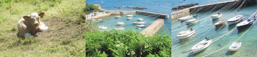 port racine, kleinster hafen frankreichs