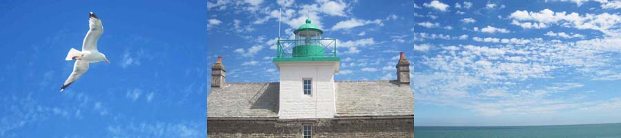 muschelsucher am pointe de saire