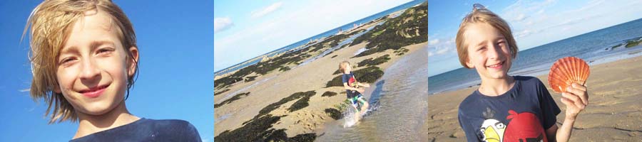 muschelsuche am pointe de saire