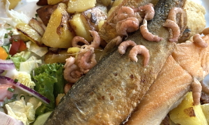 fisch aus metzners meeresk&uuml;che