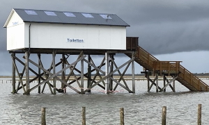 feuchtes &ouml;rtchen