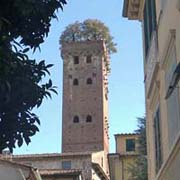 torre guinigi