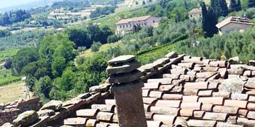 d&auml;cher von vinci