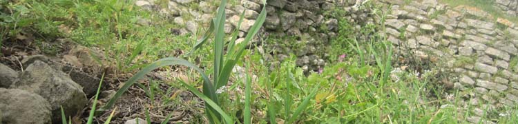 gesch&uuml;tzt - die &auml;ltesten steine von troja